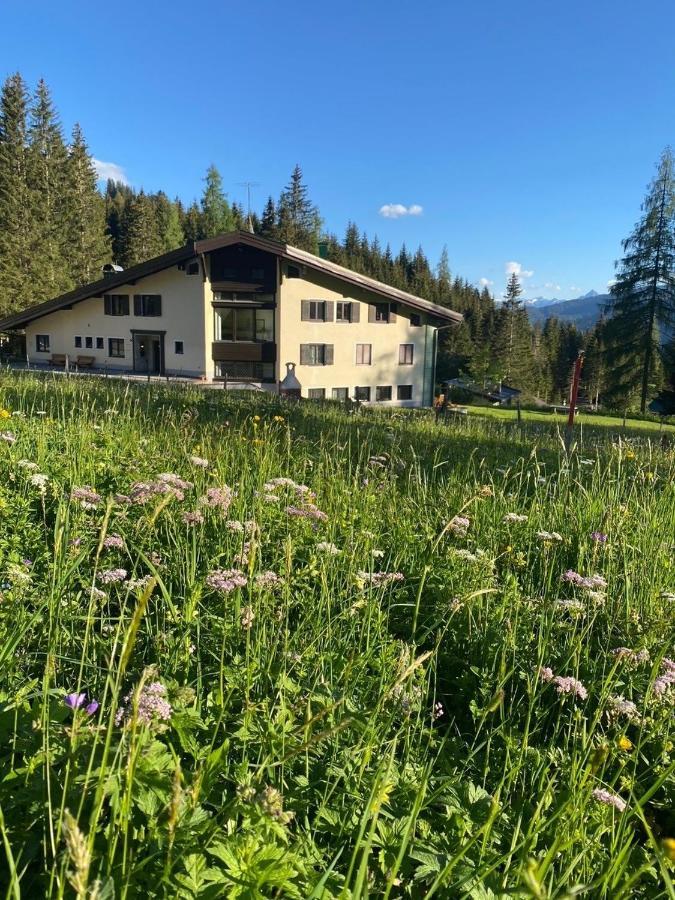 Appartementhaus Hochkoenig - Panoramablick Мюльбах-ам-Гохкеніг Екстер'єр фото