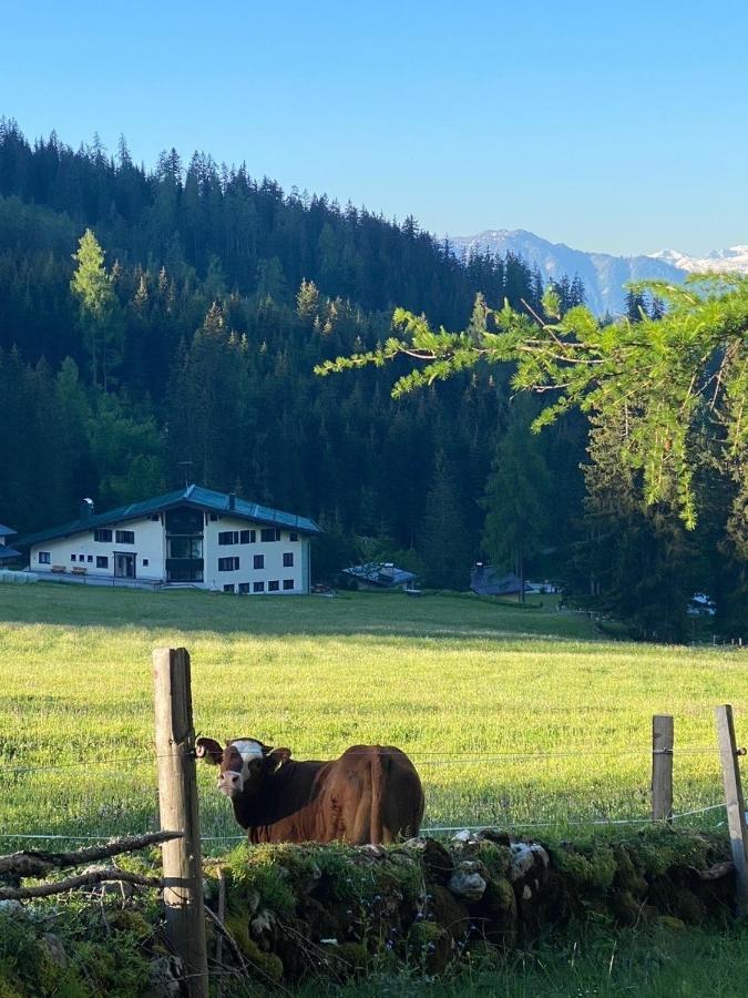 Appartementhaus Hochkoenig - Panoramablick Мюльбах-ам-Гохкеніг Екстер'єр фото