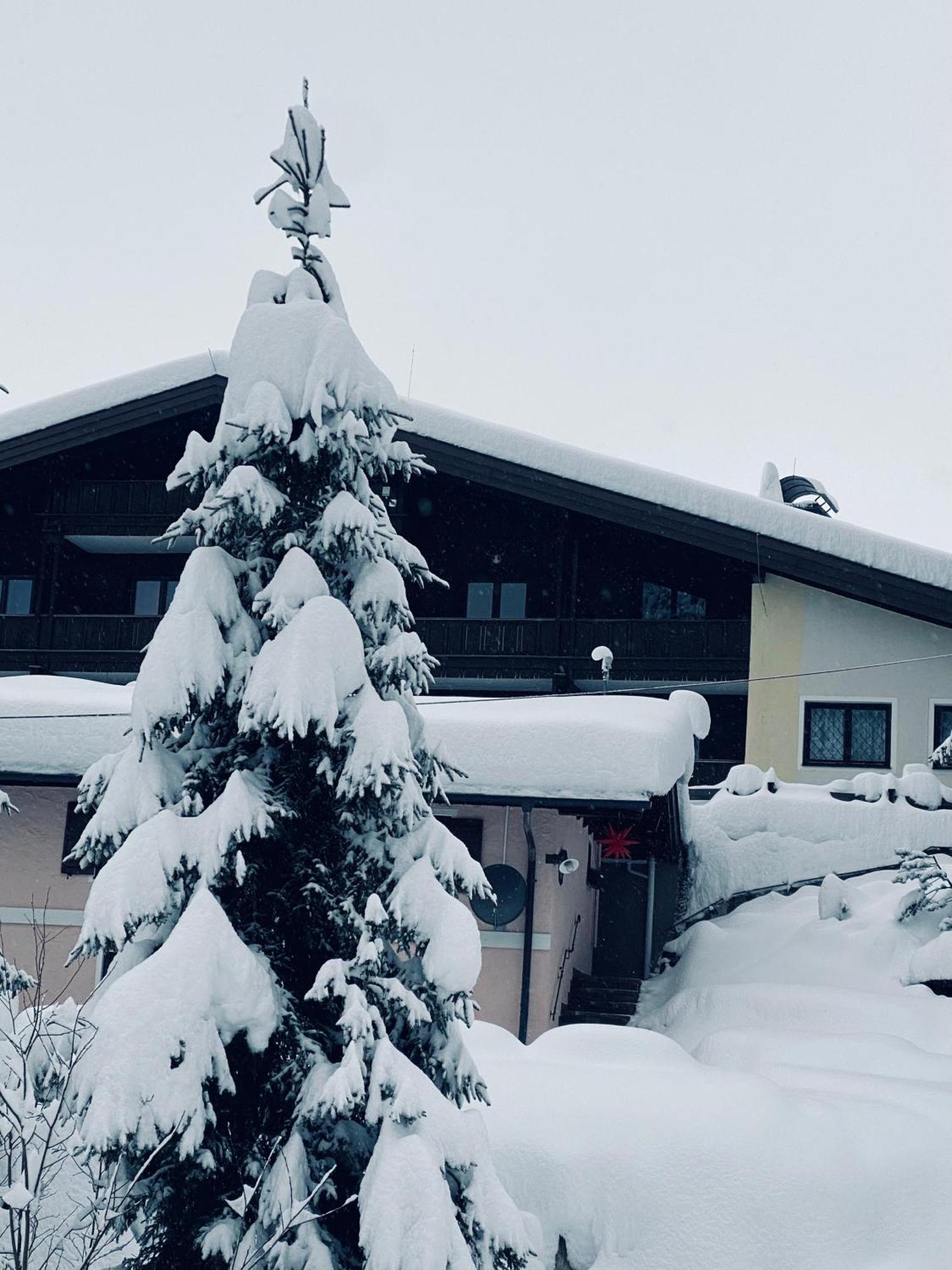 Appartementhaus Hochkoenig - Panoramablick Мюльбах-ам-Гохкеніг Екстер'єр фото