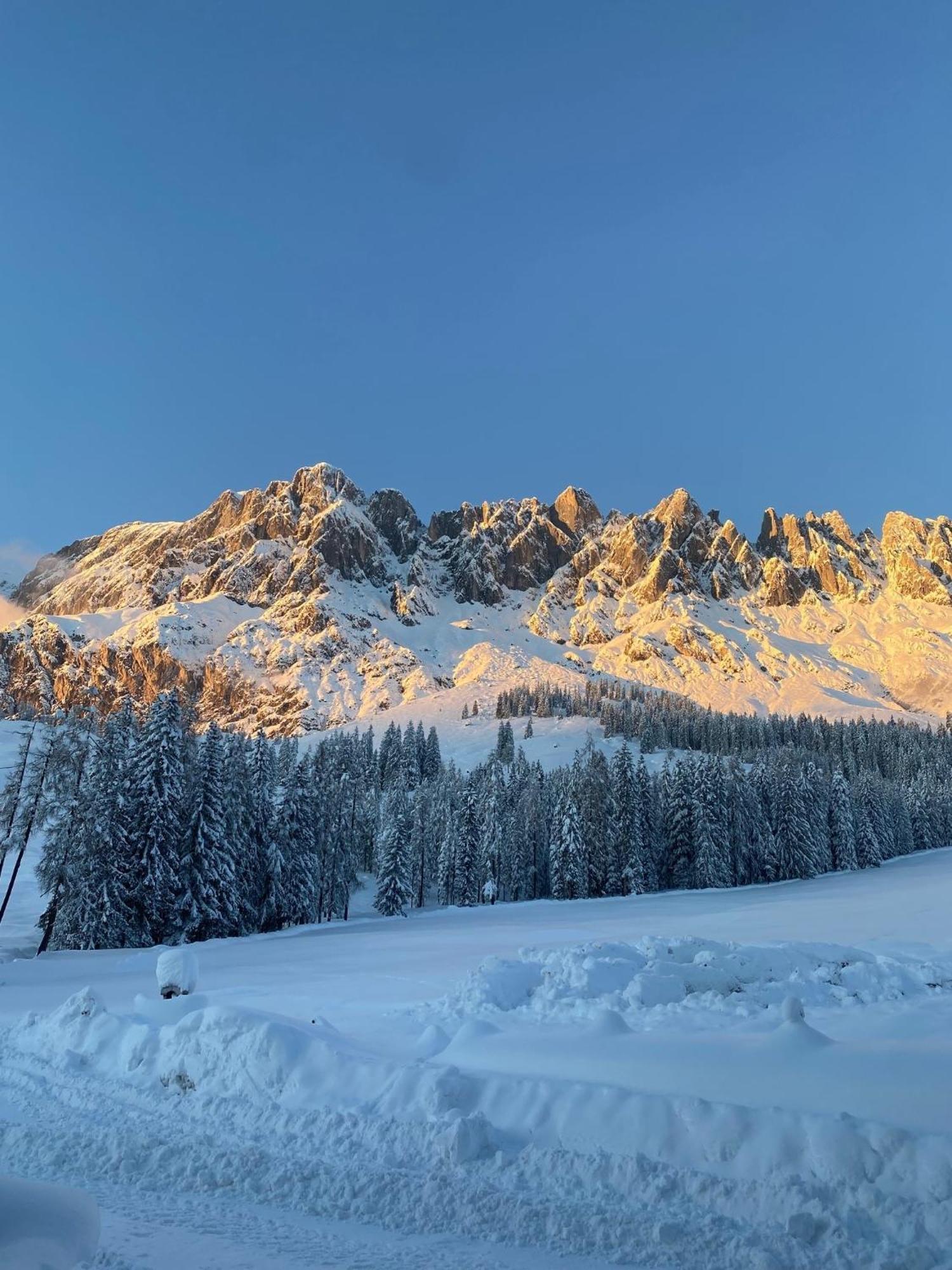 Appartementhaus Hochkoenig - Panoramablick Мюльбах-ам-Гохкеніг Екстер'єр фото